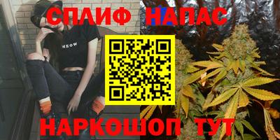стаф Донецк