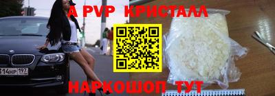 стаф Донецк
