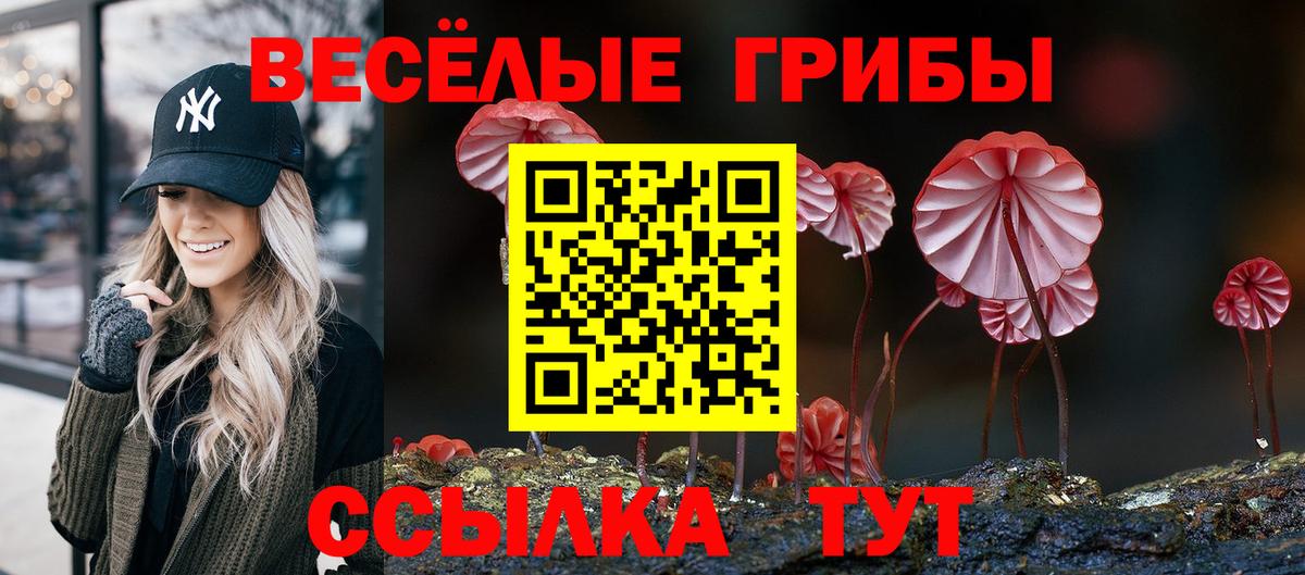 Михайловка  Галлюциногенные грибы мухоморы  сколько стоит  Вход с VPN 