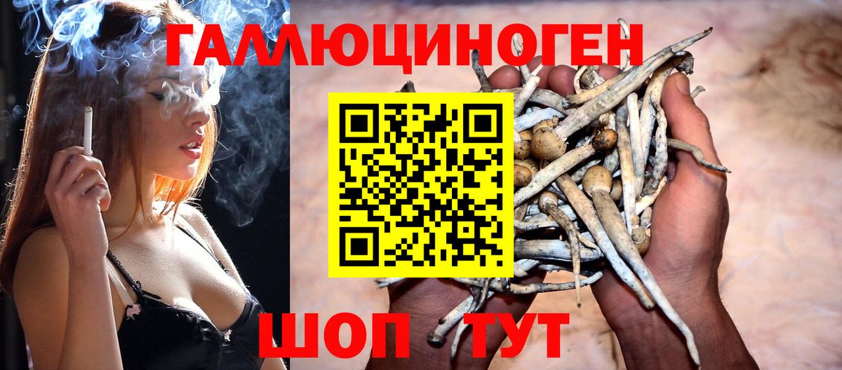 Псилоцибиновые грибы прущие грибы Михайловка